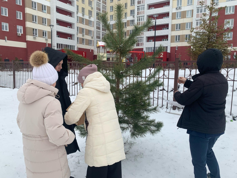 Акция "Покорми птиц зимой".